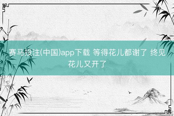 赛马投注(中国)app下载 等得花儿都谢了 终见花儿又开了
