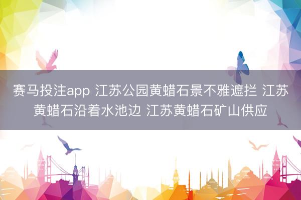 赛马投注app 江苏公园黄蜡石景不雅遮拦 江苏黄蜡石沿着水池边 江苏黄蜡石矿山供应