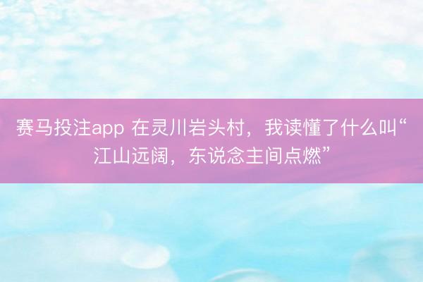 赛马投注app 在灵川岩头村，我读懂了什么叫“江山远阔，东说念主间点燃”