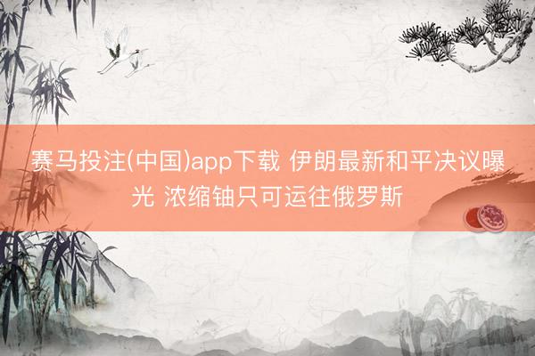 赛马投注(中国)app下载 伊朗最新和平决议曝光 浓缩铀只可运往俄罗斯