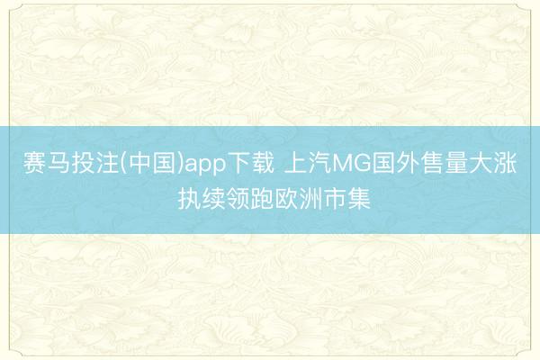 赛马投注(中国)app下载 上汽MG国外售量大涨 执续领跑欧洲市集