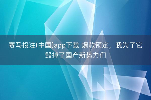 赛马投注(中国)app下载 爆款预定，我为了它毁掉了国产新势力们