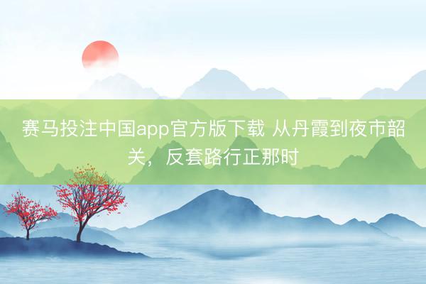 赛马投注中国app官方版下载 从丹霞到夜市韶关,反套路行正那时