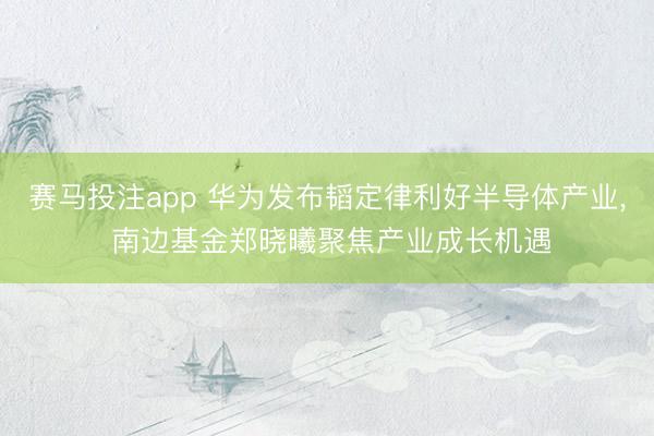 赛马投注app 华为发布韬定律利好半导体产业， 南边基金郑晓曦聚焦产业成长机遇
