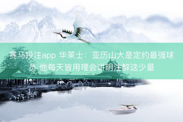 赛马投注app 华莱士：亚历山大是定约最强球员 他每天皆用理会讲明注解这少量