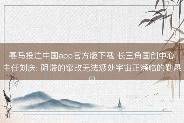 赛马投注中国app官方版下载 长三角国创中心主任刘庆: 阻滞的窜改无法惩处宇宙正濒临的勤恳
