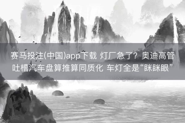 赛马投注(中国)app下载 灯厂急了？奥迪高管吐槽汽车盘算推算同质化 车灯全是“眯眯眼”