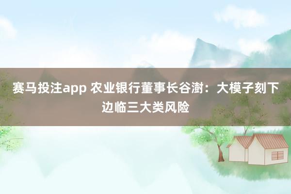 赛马投注app 农业银行董事长谷澍:大模子刻下边临三大类风险