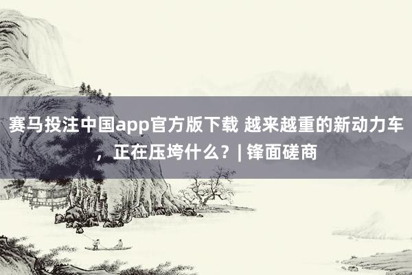 赛马投注中国app官方版下载 越来越重的新动力车，正在压垮什么？| 锋面磋商